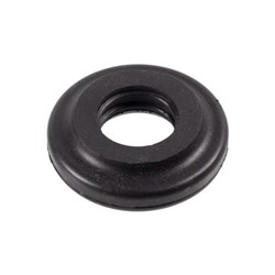 Seal Ring, cylinder head cover bolt FE24321
