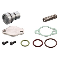 Repair Kit, pressure relief valve (air compressor) FE37987