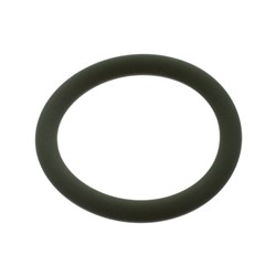 Seal Ring FE40442_1