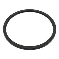 Seal Ring, spring link FE48443