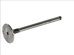 Suction valve FRECCIA 4973/S