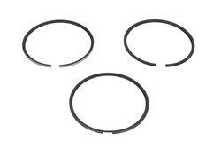 Piston Ring Kit 08-123400-30