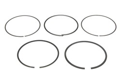 Piston Ring Kit 08-424300-00
