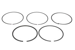 Piston Ring Kit 08-424307-00