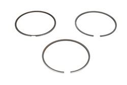 Piston Ring Kit 08-424900-00