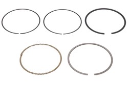 Piston Ring Kit 08-429500-00