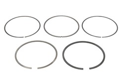 Piston Ring Kit 08-443900-00