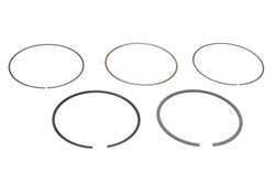 Piston Ring Kit 08-445500-00