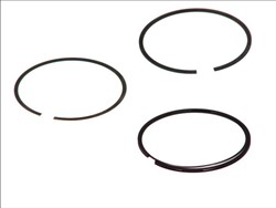 Piston Ring Kit 08-101300-00