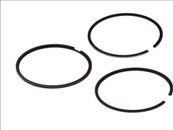 Piston Ring Kit 08-109500-00