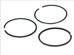 Piston Ring Kit 08-109507-00