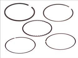 Piston Ring Kit 08-116100-00