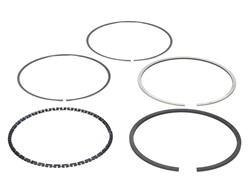 Piston Ring Kit 08-116107-00