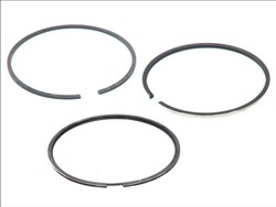 Piston Ring Kit 08-325500-00