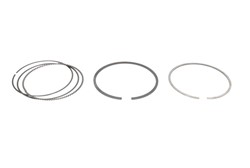 Piston Ring Kit 08-433900-00