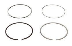 Piston Ring Kit 08-436300-00