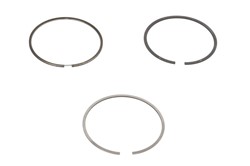 Piston Ring Kit 08-442300-00