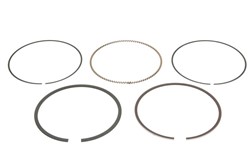 Piston Ring Kit 08-446900-00