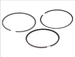 Piston Ring Kit 08-786600-00