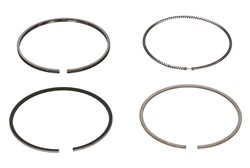 Piston Ring Kit 08-424100-00