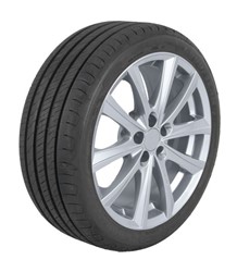 Summer tyre Efficientgrip Performance 2 215/60R17 100V XL_1