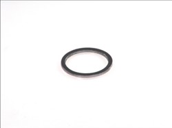 Seal Ring, oil drain plug HP110 602