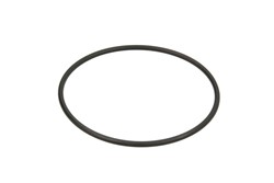 Seal Ring, wheel hub JAE0210309748