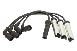 Ignition Cable Kit L30011D