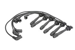Ignition Cable Kit L30517OEM