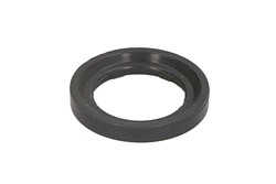 Seal Ring, injector O00002OEM