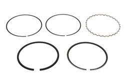 Piston Ring Kit 800001013000