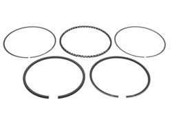 Piston Ring Kit 800002511000
