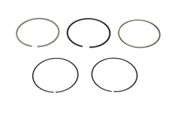 Piston Ring Kit 800038910000
