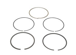Piston Ring Kit 800039710000