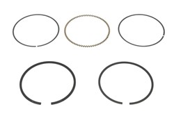 Piston Ring Kit 800042110050