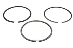 Piston Ring Kit 800042410000