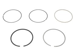Piston Ring Kit 800049110000