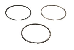 Piston Ring Kit 800075810000