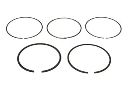 Piston Ring Kit 800115910000