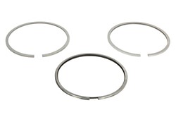 Piston Ring Kit 800116210000