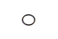 Seal Ring, coolant pipe_1