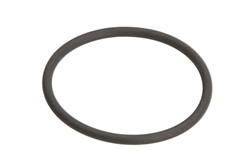 Seal Ring, injector shaft LE121115_0