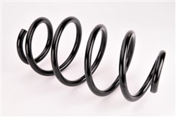Coil spring LS4095089