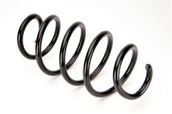 Coil spring LS4095089_2