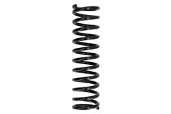 Coil spring LS4204207