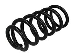 Coil spring LS4204260