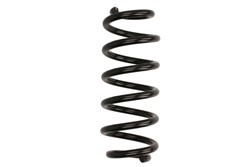 Coil spring LS4204292