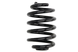 Coil spring LS4208419