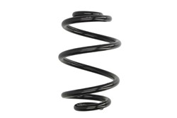 Coil spring LS4208431