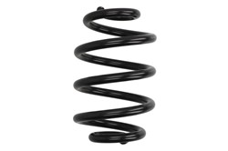 Coil spring LS4208432